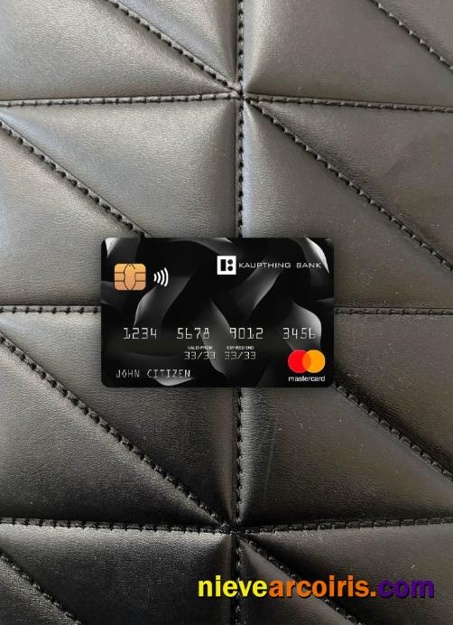 Iceland Kaupthing mastercard photolook